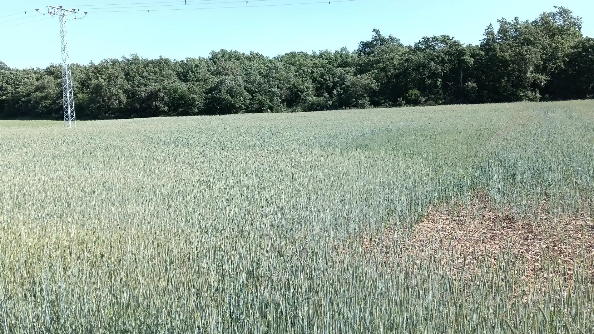 Land for sale in Ibeas de Juarros