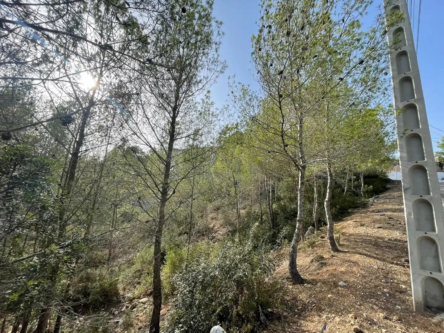 Terreny residencial en venda a Olivella, imagen 2