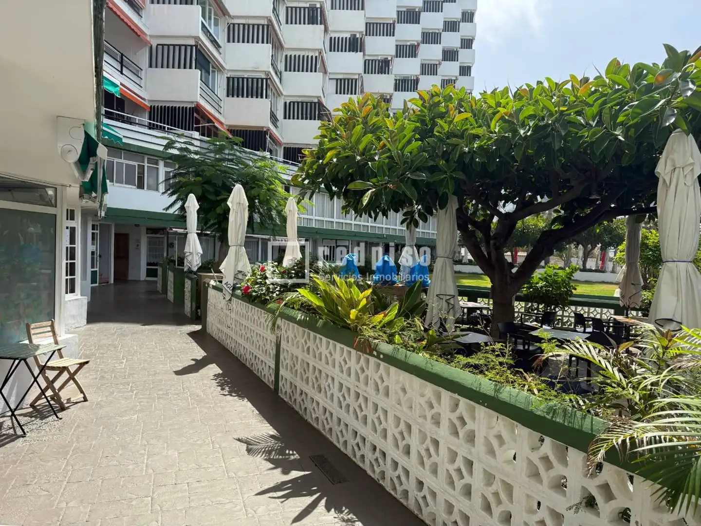 Terraza de Local en venta en Punta del Hidalgo