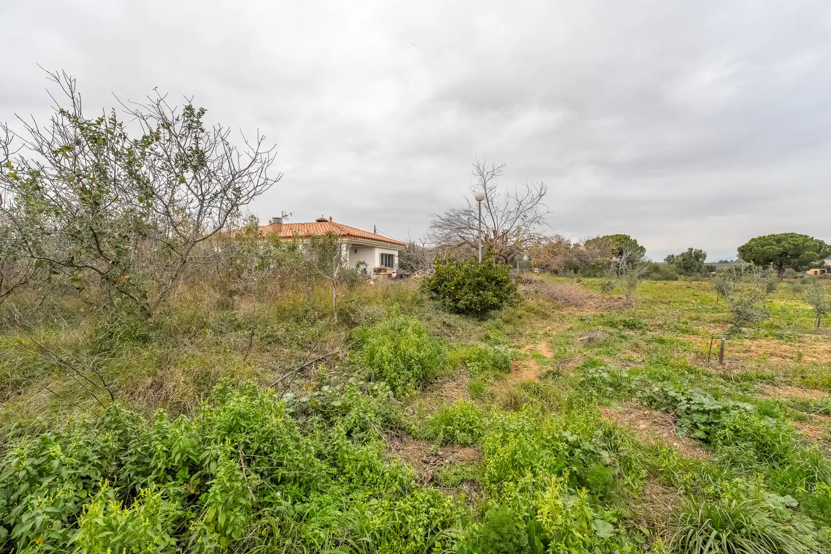 Casa rústica con jardín en venta en Riudoms, imagen 38