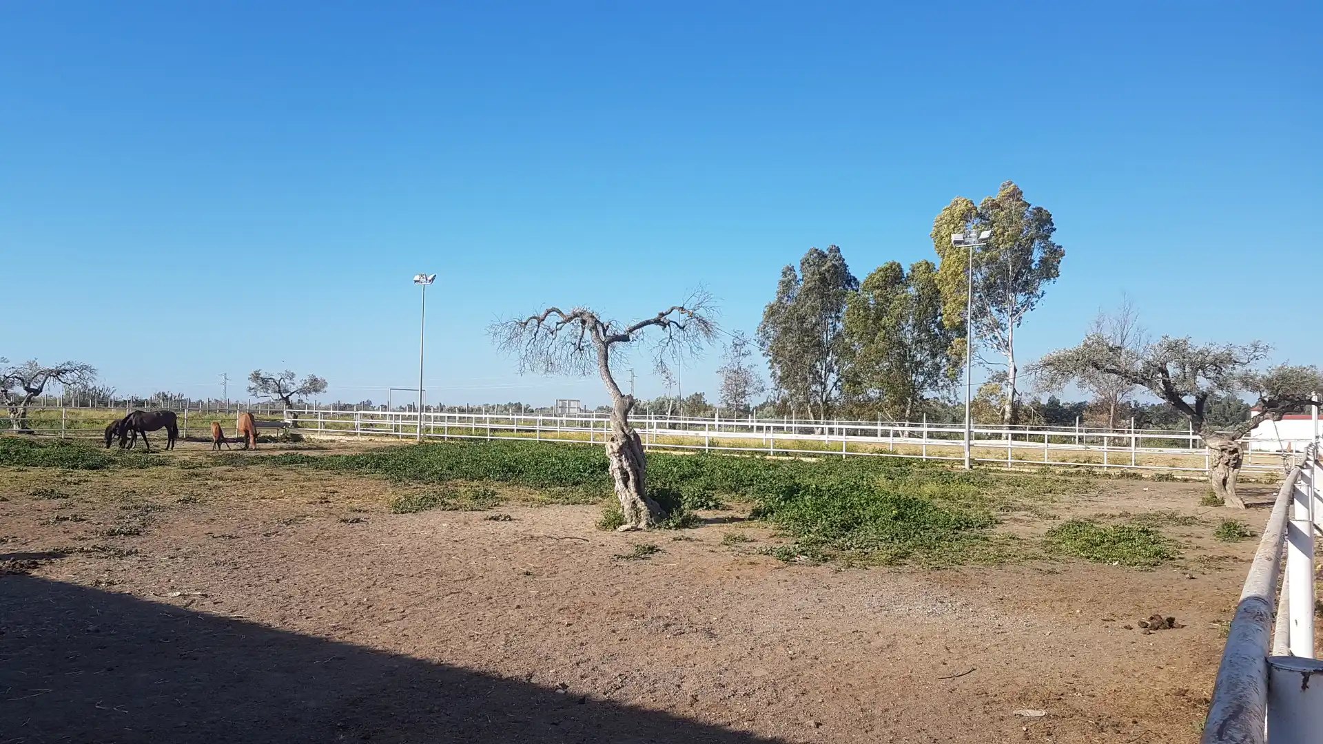 Terreni e lotti in vendita a Sanlúcar la Mayor, imagen 24