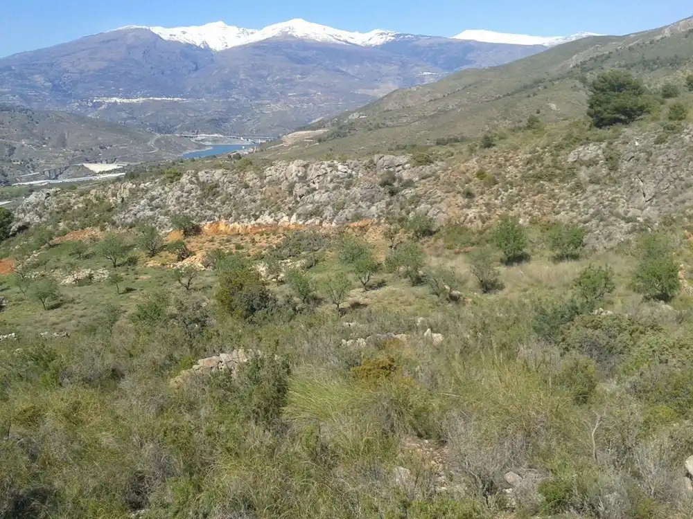 Terreni e lotti in vendita a Vélez de Benaudalla, imagen 3