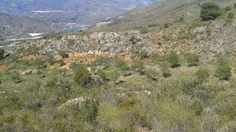 Parcela en venta en Vélez de Benaudalla, con más de 30.000 metros cuadrados, en una ubicación idílica, rodeada de naturaleza y con, imatge 3