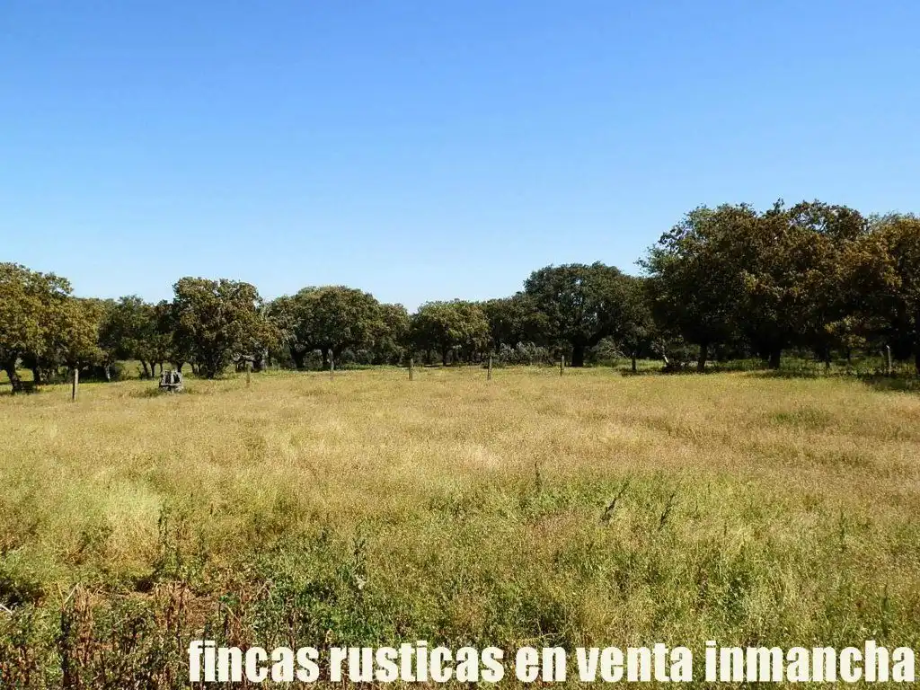 Terreno rustico in vendita a Ciudad Rodrigo, imagen 2