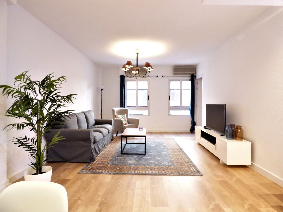 Living room of Flat to rent in Alicante / Alacant  with Air Conditioner, Heating and Oven