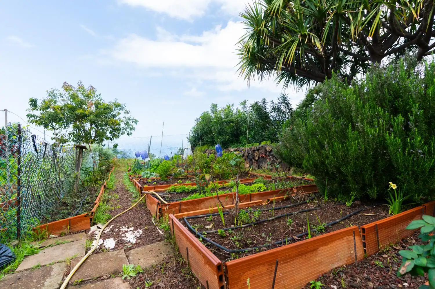 Jardí de Casa o xalet en venda en Santa Úrsula amb Traster