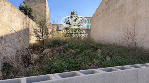 Foto 2 von Grundstücke zum Verkauf in Antoni Maura, Santa Margalida Poble, Santa Margalida