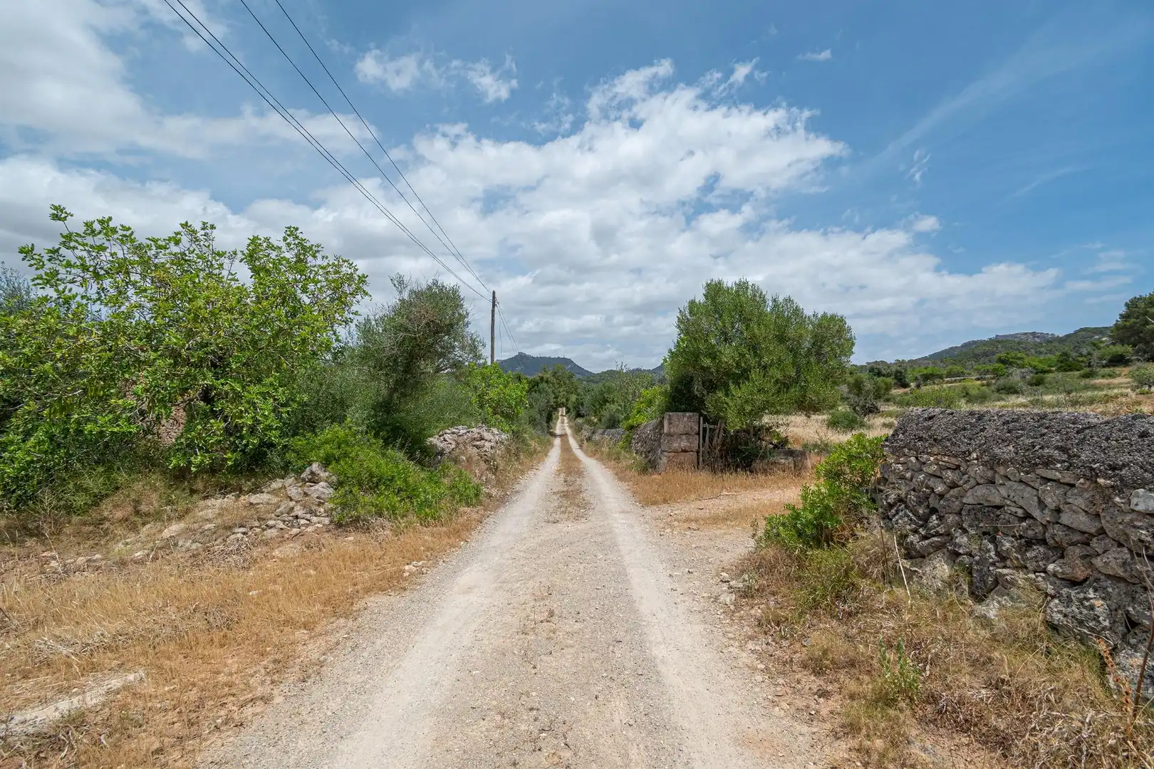 Lands and plots for sale in Felanitx Poble, imagen 18