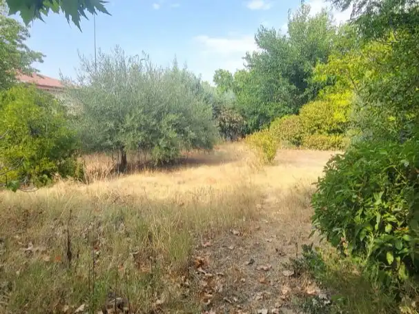 Xalet amb jardí en venda a Calle Álamo 3, imagen 28