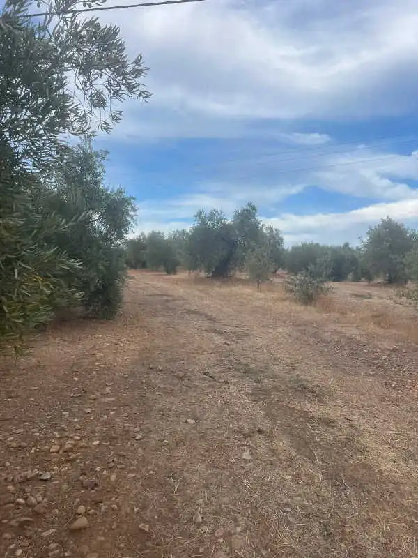 Rustikales Grundstück zum Verkauf in Pozoblanco, imagen 9