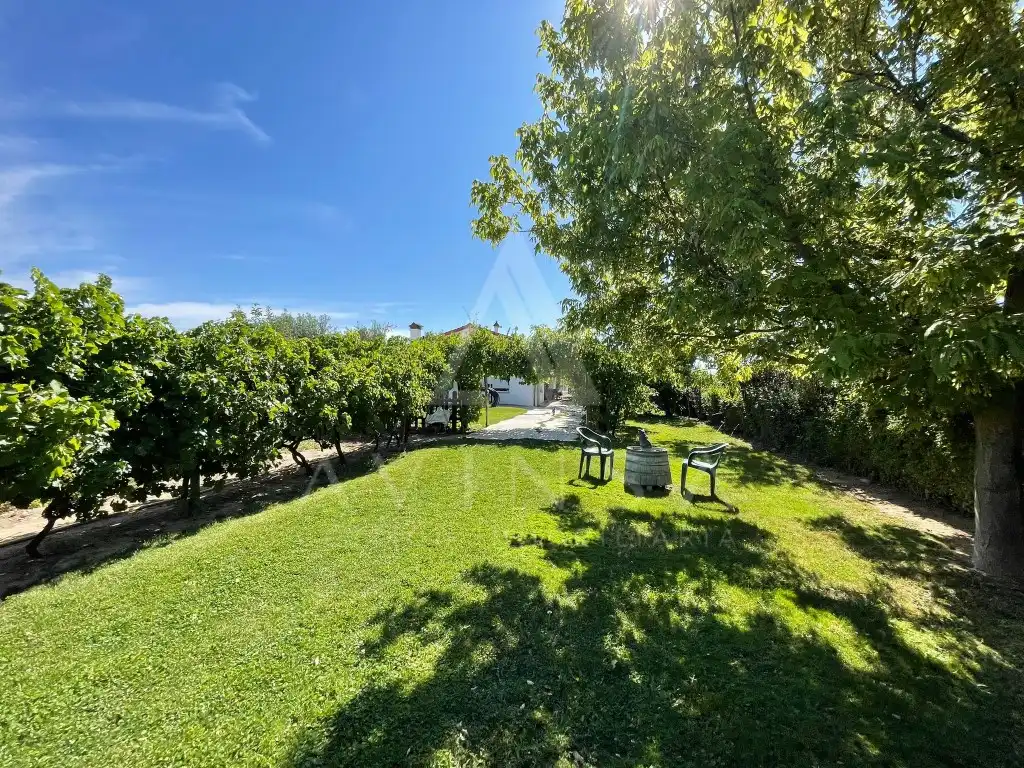 House for sale in Fuente El Saz de Jarama, imagen 5