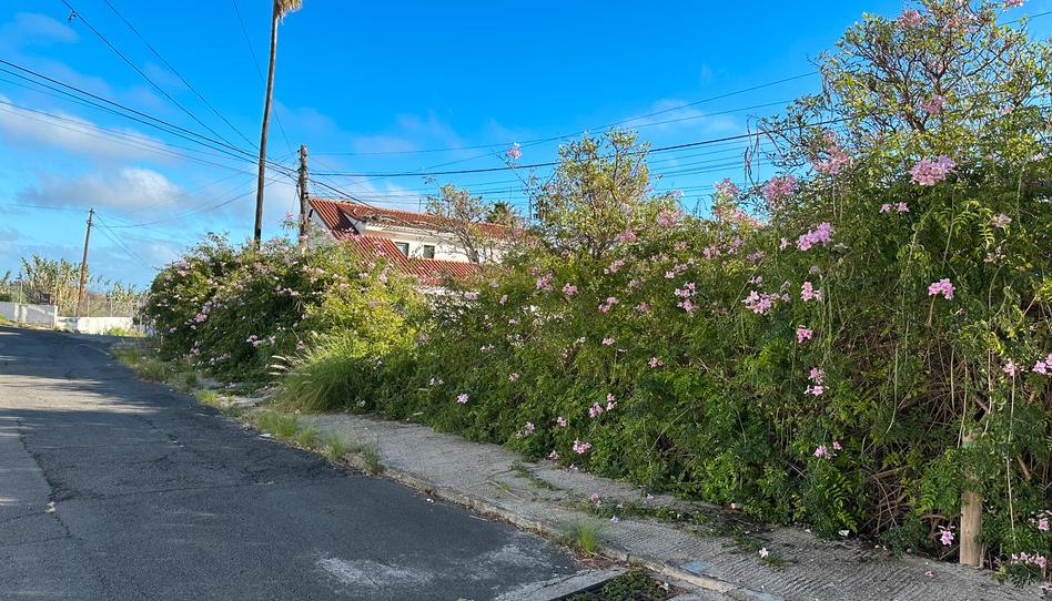 Photo 1 of Residential for sale in Calle Mirlo, 49, Los Alvarados - Fuente los Berros - Bandama, Las Palmas