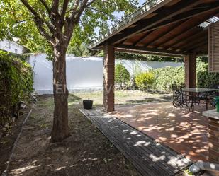 Jardí de Casa o xalet en venda en  Madrid Capital amb Aire condicionat, Terrassa i Piscina