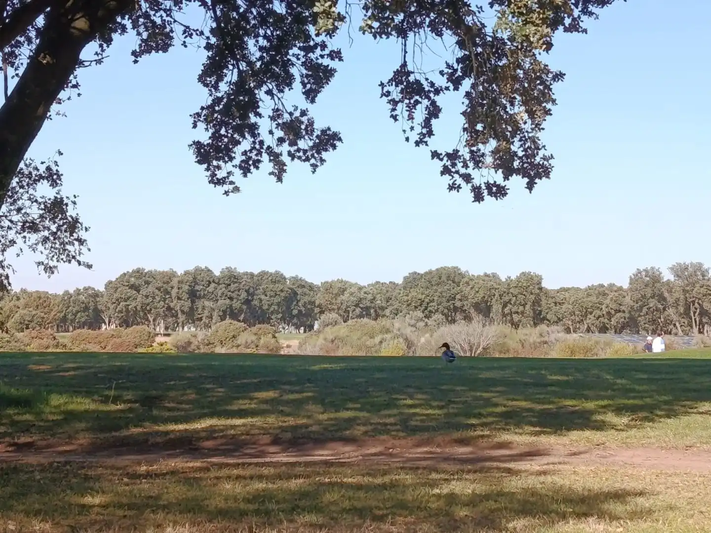 Außenansicht von Residential zum Verkauf in Lerma