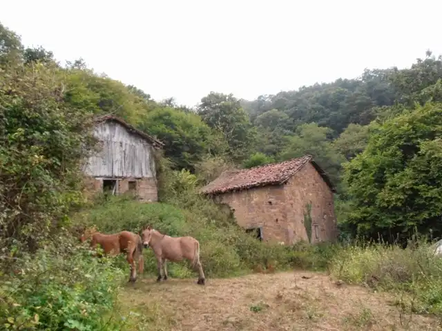 Maison rustique à vendre à Aldea Casares 11, imagen 11