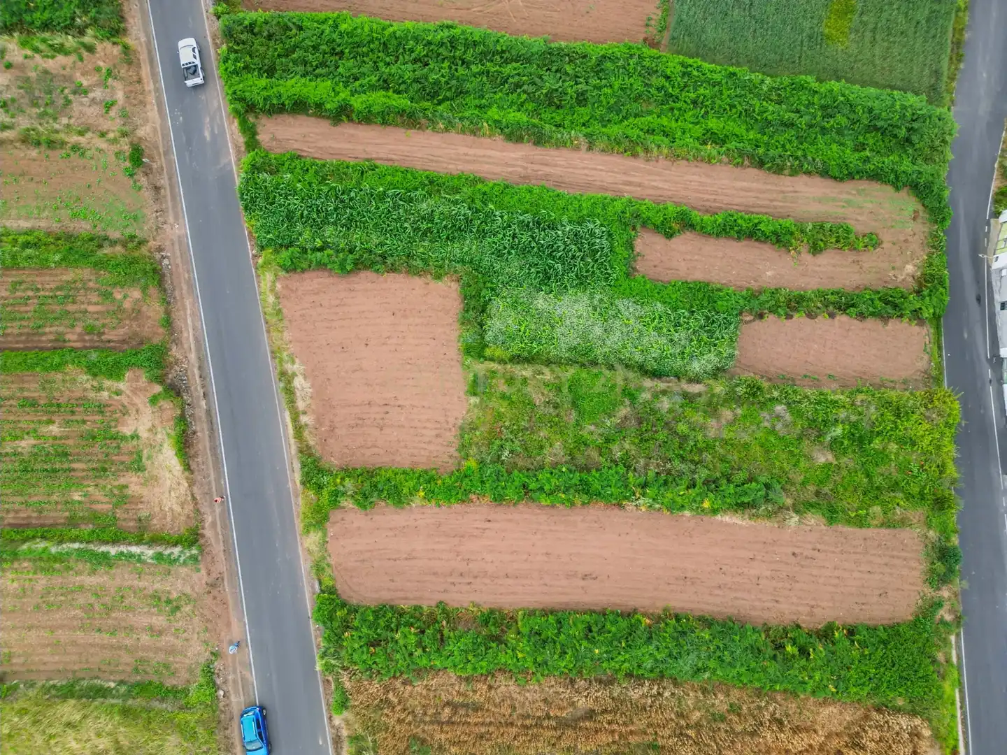 Terreno en venta en Los Realejos