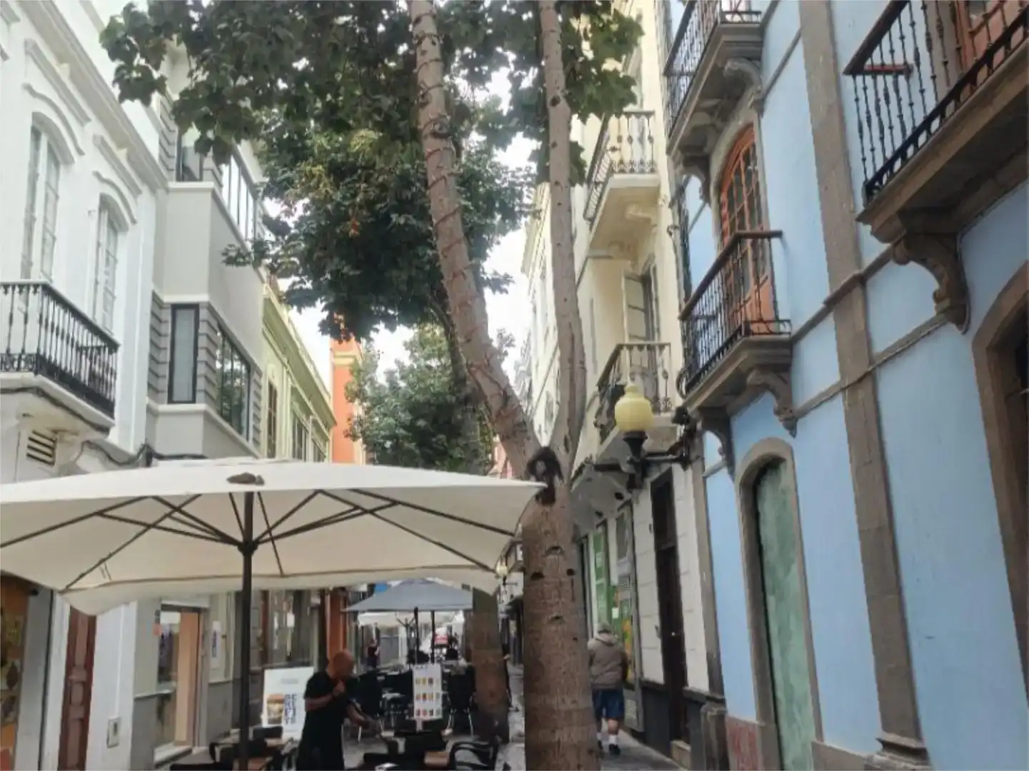 Vista exterior de Àtic de lloguer en Las Palmas de Gran Canaria amb Moblat