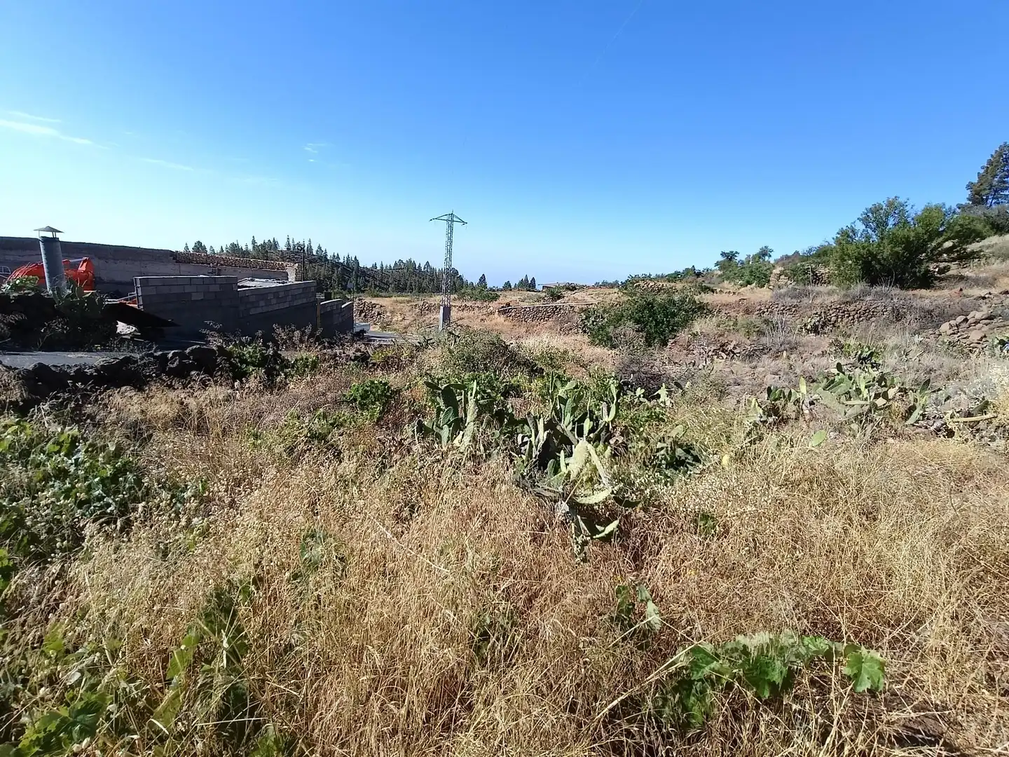Terreno rústico en venta en M\A LIRIOS. VILAFLOR DE CHASNA [S.C. TENERIFE], imagen 30