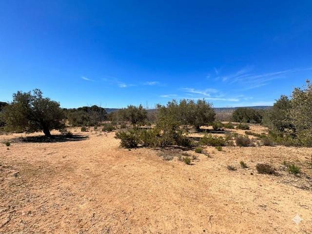 Terreno en Venta en Biar