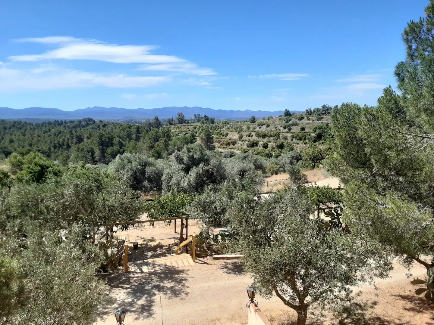 Jardí de Finca rústica en venda en El Molar (Tarragona) amb Calefacció, Terrassa i Piscina