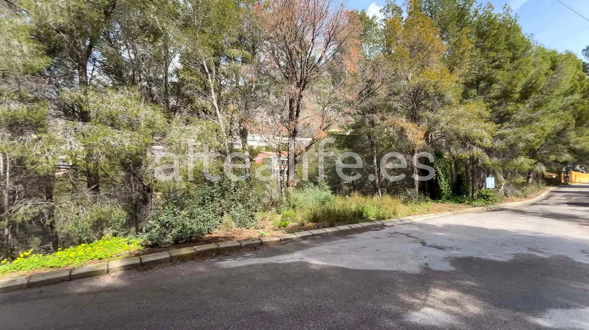 Terreny residencial en venda a Calle Erica, imagen 18