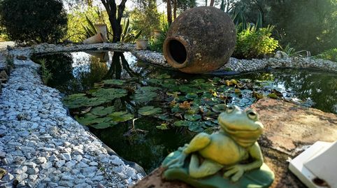 Foto 3 de Finca rústica en venta en Gaucín, Málaga