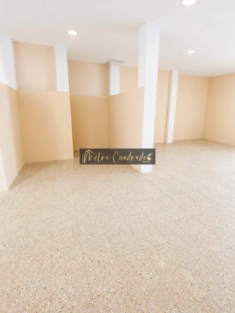 Local comercial en venta en Centro, imagen 9
