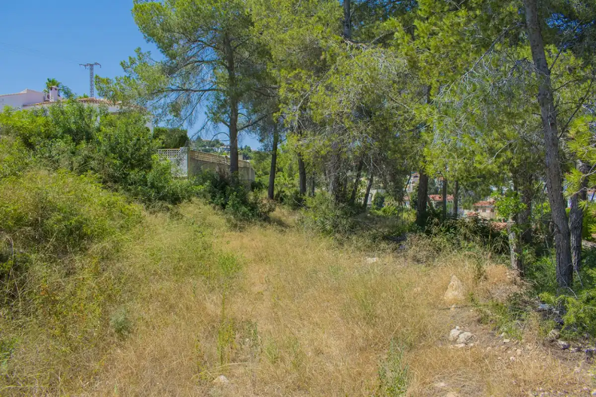 Wohnbaugrundstück zum Verkauf in La Fustera, imagen 18