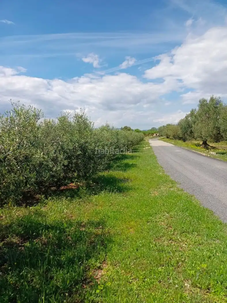 Rural land for sale in Carrer Molí del Mig 29