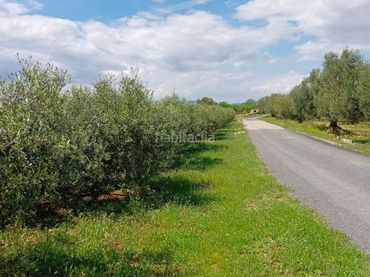 Rustikales Grundstück zum Verkauf in Carrer Molí del Mig 29