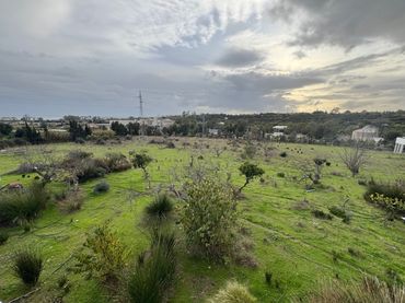 Maison avec piscine à vendre à Benamara - Atalaya