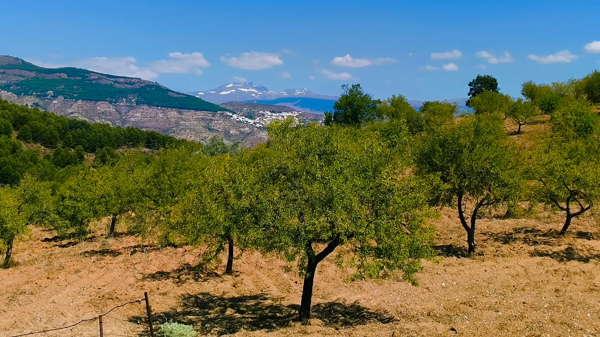 Vista exterior de Finca rústica en venda en Turón amb Jardí privat