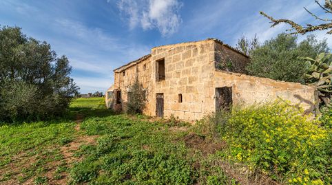 Terreno Rústico con Edificaciones a Restaurar en Campos, Mallorca, imatge 2
