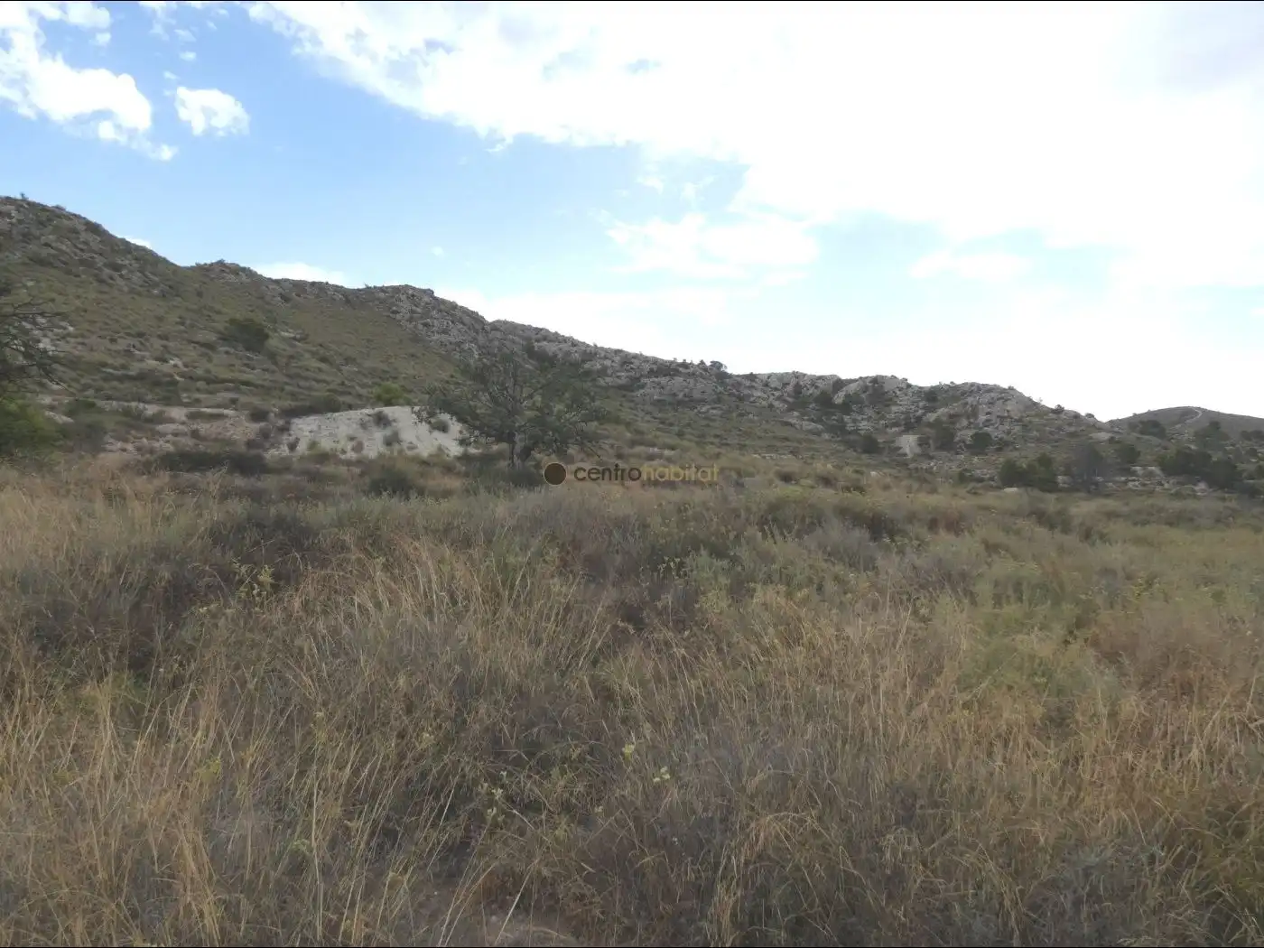 Terreno rustico in vendita a Petrer, imagen 6
