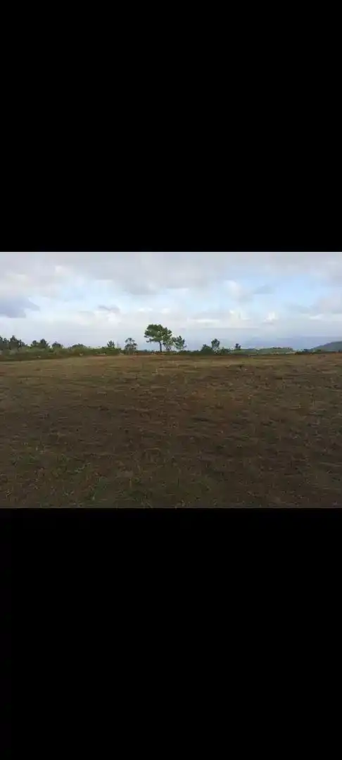 Finca rústica en venda en Tordoia
