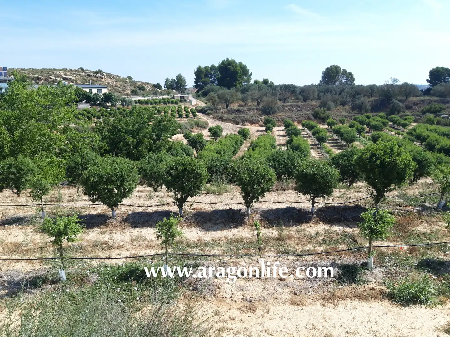 Finca rústica en venta en Caspe con Amueblado