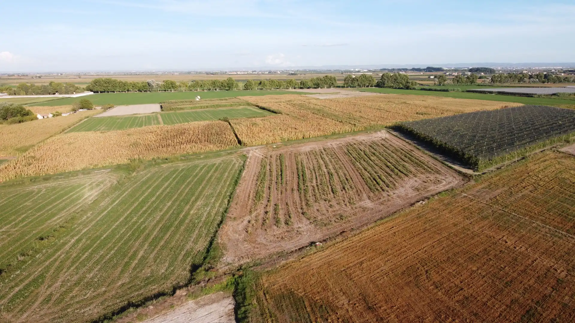 Rural land for sale in Avinguda Balaguer 1981, imagen 2