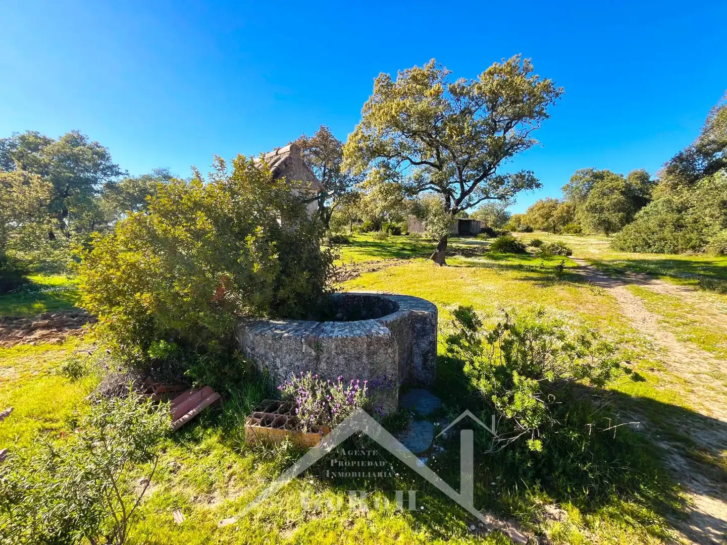 Terreni e lotti in vendita a Castilblanco de los Arroyos
