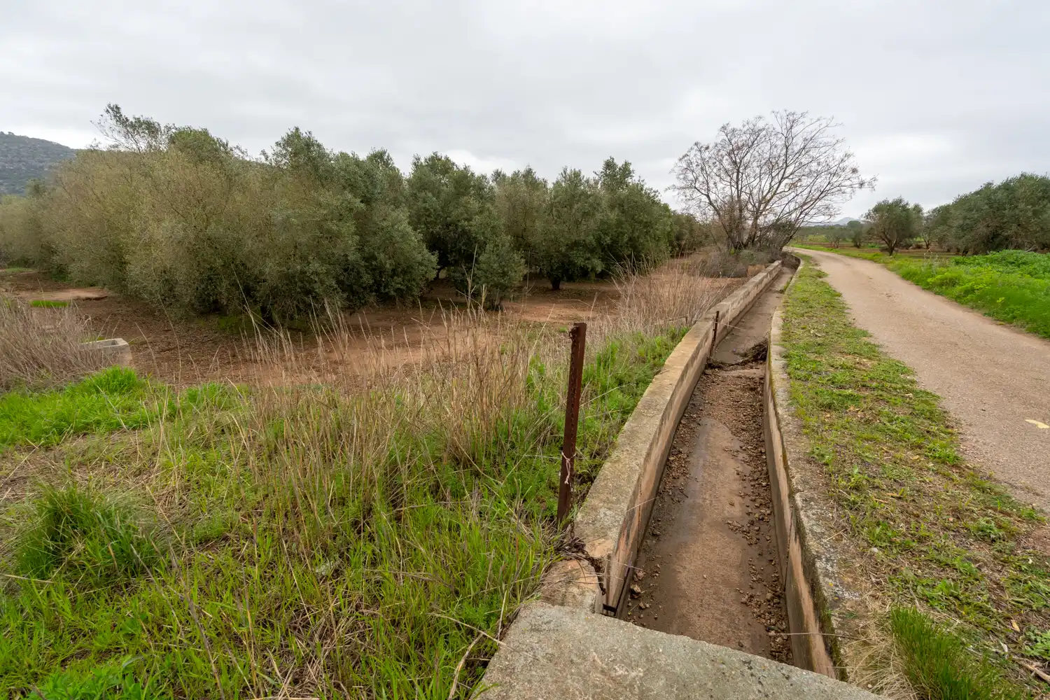 Rural land for sale in Godall, imagen 3