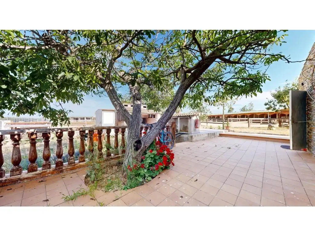 Jardín de Casa o chalet en venta en Carlet con Jardín privado, Terraza y Trastero