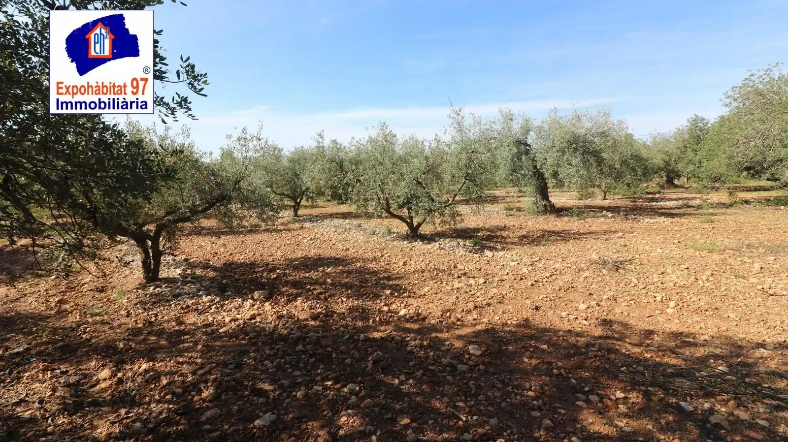 Lands and plots for sale in Carrer Partida Tarrès, imagen 2