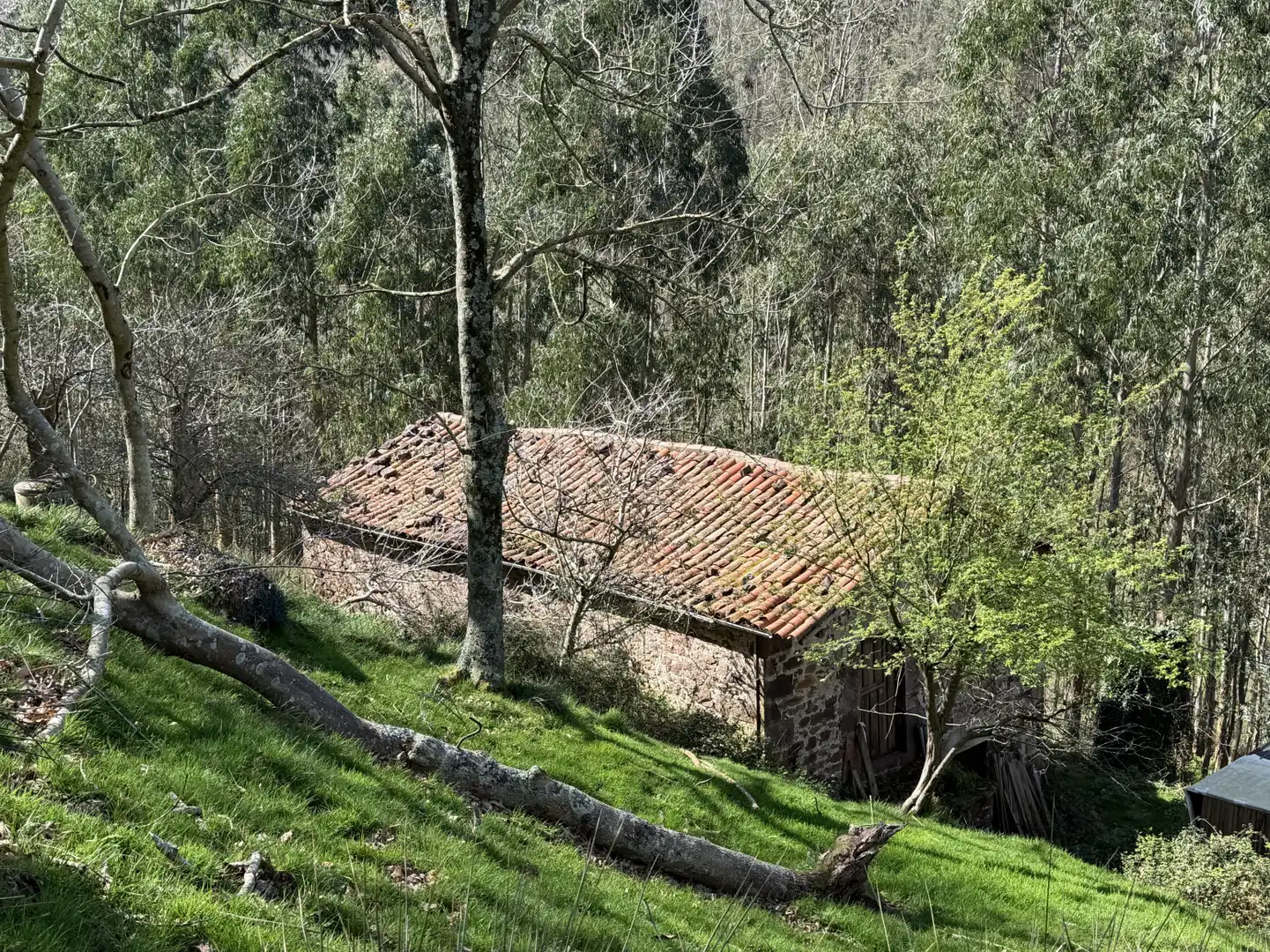 Casa en venda a Rubalcaba - LA QUIEVA, imagen 17