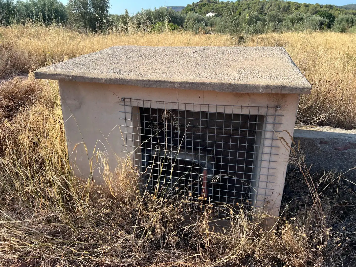Rustikales Grundstück zum Verkauf in Olocau, imagen 7