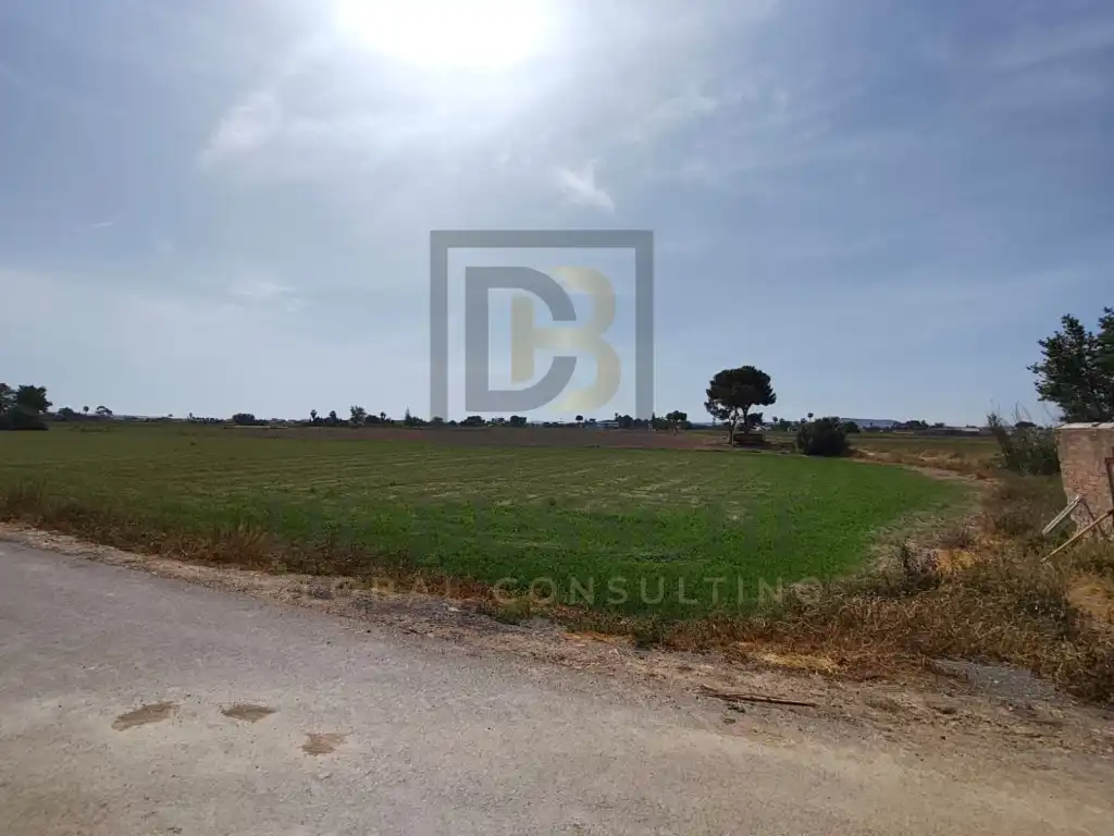 Finca rústica en venta en Dolores