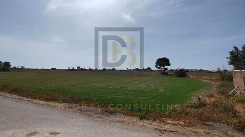Foto 4 de Finca rústica en venta en Dolores, Alicante