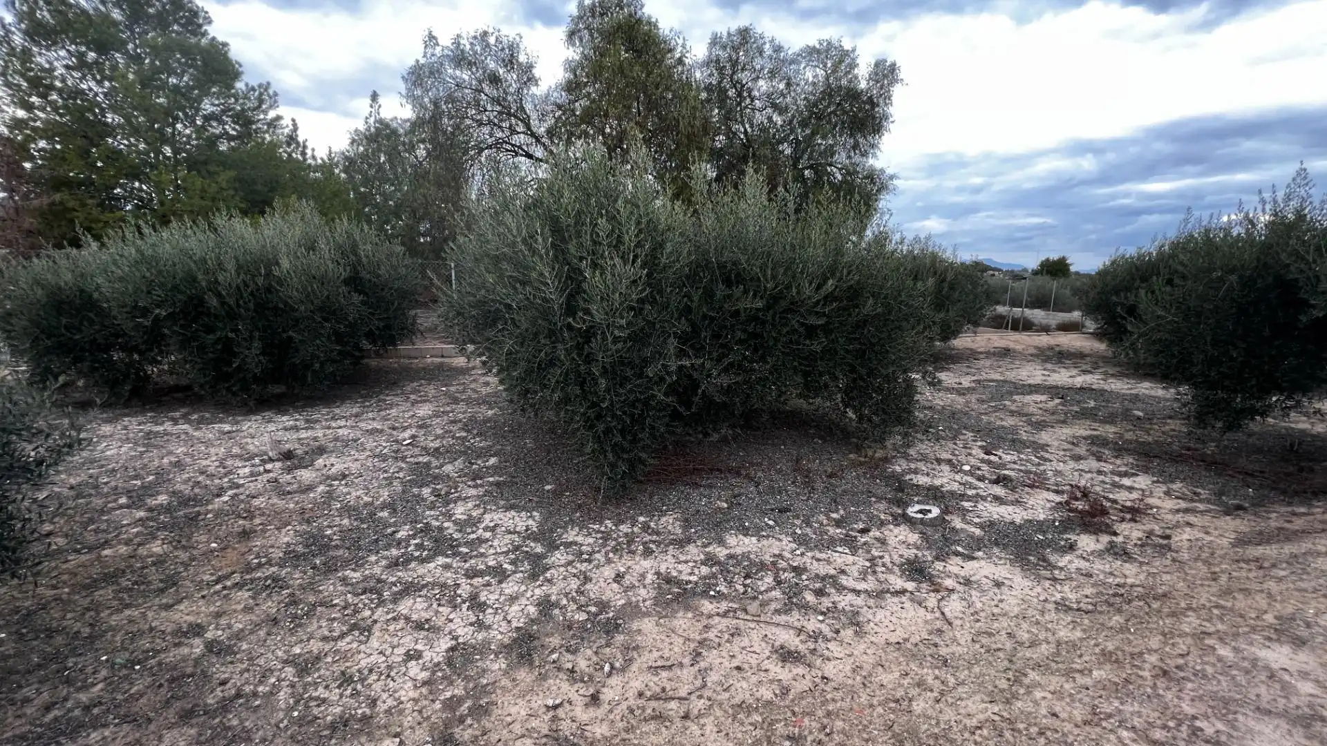 Land for sale in Cañada Hermosa