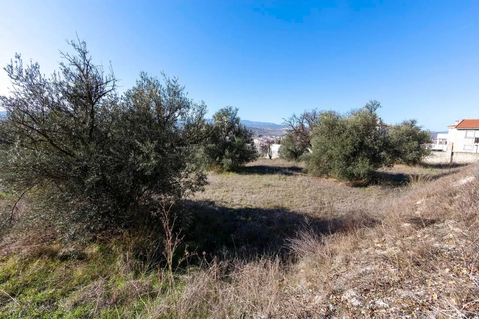 Residential land for sale in Avenida de Andalucía 201, imagen 7