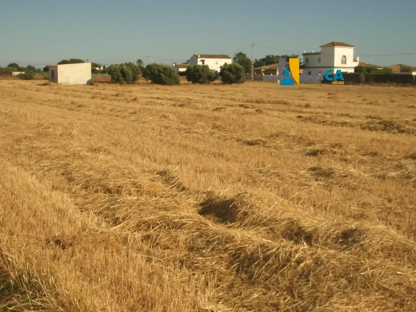 Terreni e lotti in vendita a El Palmar, imagen 7