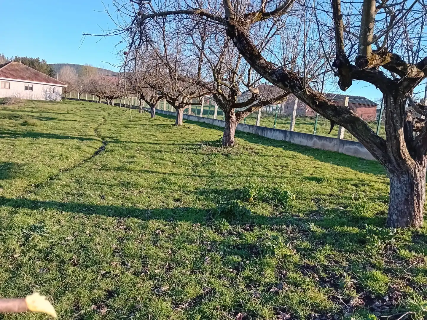 Casa amb terrassa en venda a Monforte de Lemos, imagen 9