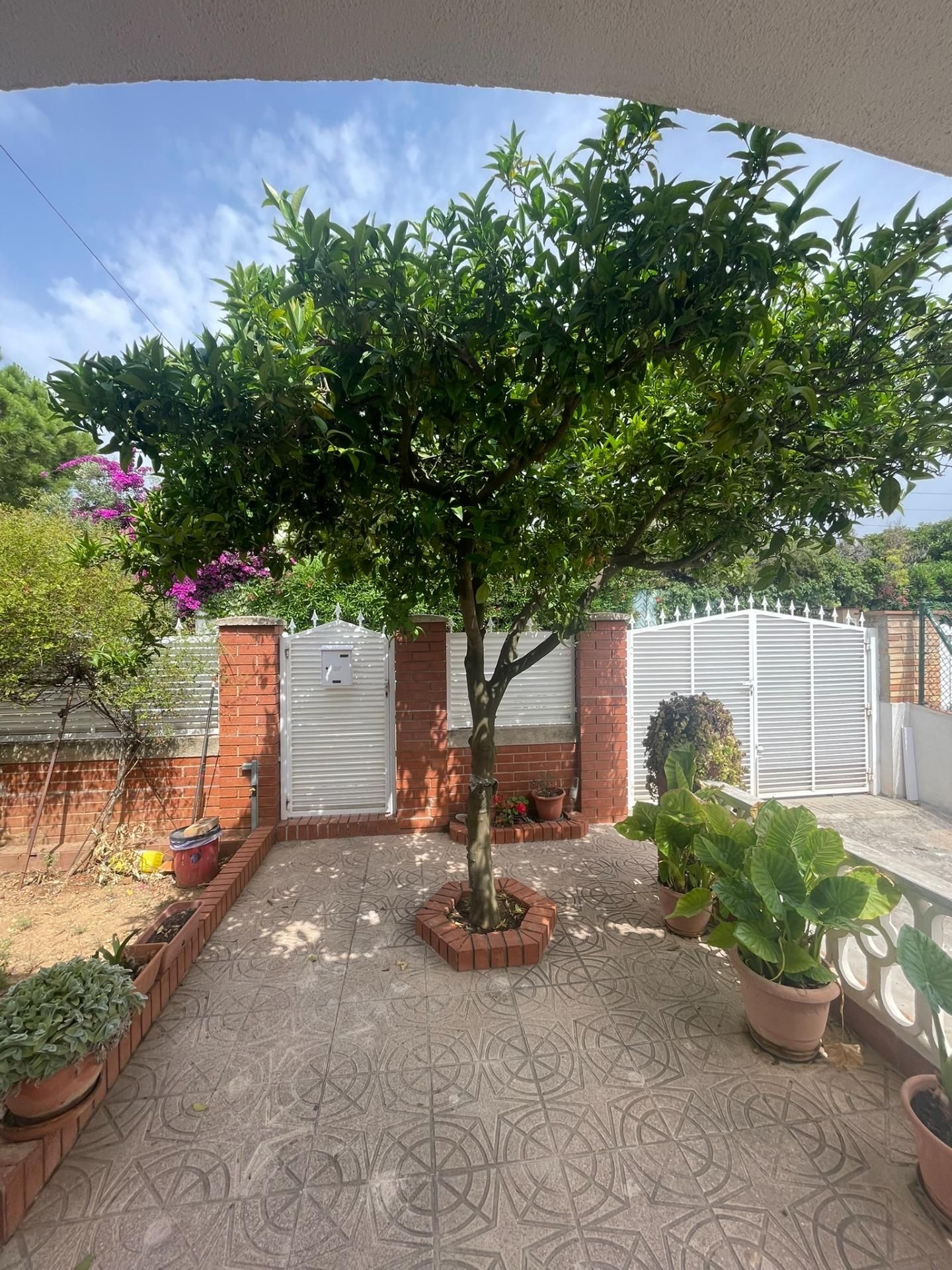 Jardín de Casa o chalet en venta en La Pobla de Montornès   con Calefacción, Jardín privado y Terraza